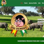 Imagen de la empresa 'Pig Demont'
