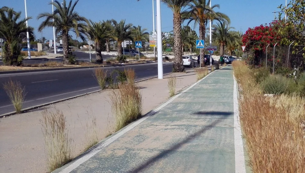 Maleza en Ronda Norte de Elche Maleza en Ronda Norte de Elche