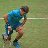 Federer hinca la rodilla en Halle