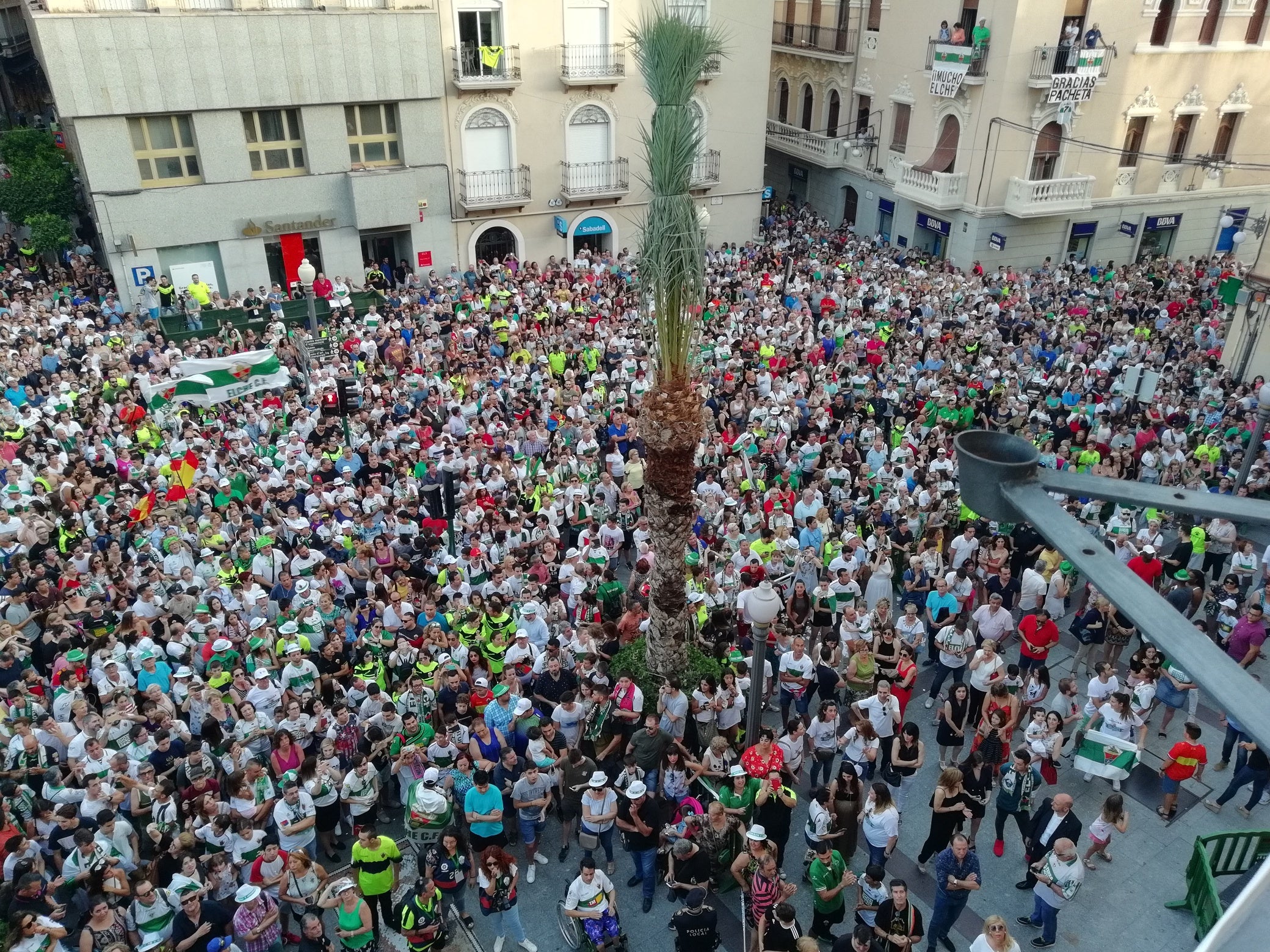 Elche se vuelca con la plantilla franjiverde en un año de grandes éxitos deportivos Elche se vuelca con la plantilla franjiverde en un año de grandes éxitos deportivos