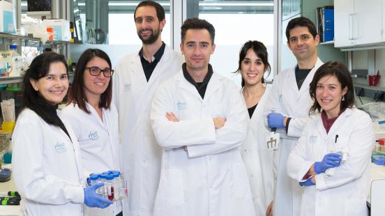 Investigadores españoles descubren cómo eliminar las células tumorales responsables de las recaídas en el cáncer Investigadores españoles descubren cómo eliminar las células tumorales responsables de las recaídas en el cáncer
