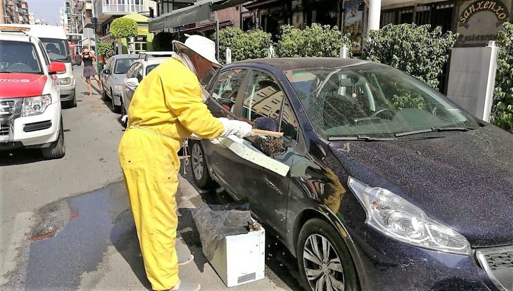 Un apicultor recoge las abejas del enjambre que ha aparecido en el retrovisor del vehículo 