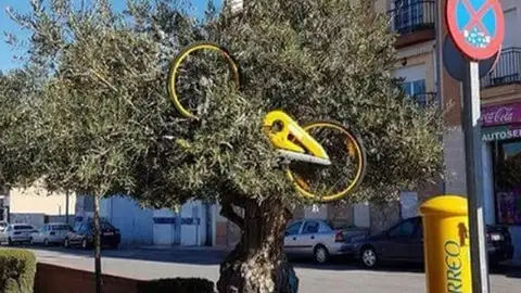 obike y ofo dejan Granada Aducen vandalismo