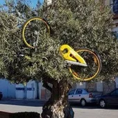 obike y ofo dejan Granada obike y ofo dejan Granada