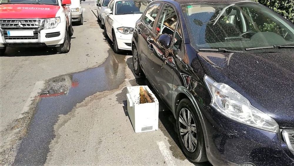 Caja con feromonas para captar las abejas junto al coche en el que se ha formado el enjambre