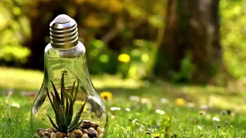 ¿Cómo podemos ayudar a proteger el medio ambiente? ¿Cómo podemos ayudar a proteger el medio ambiente?