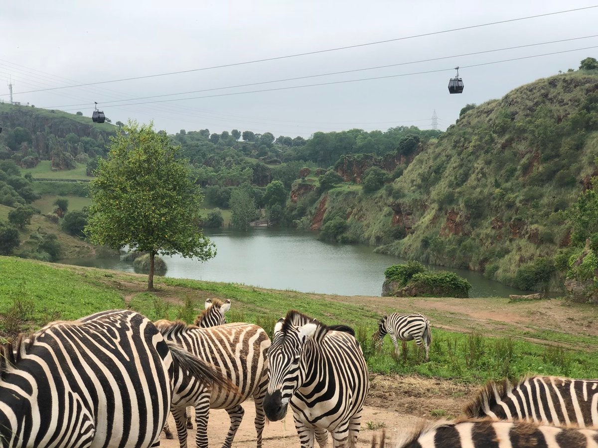 Turismo prevé una "buena" Semana Santa para Cantabria y espera un nuevo récord de visitantes en Cabárceno Turismo prevé una "buena" Semana Santa para Cantabria y espera un nuevo récord de visitantes en Cabárceno