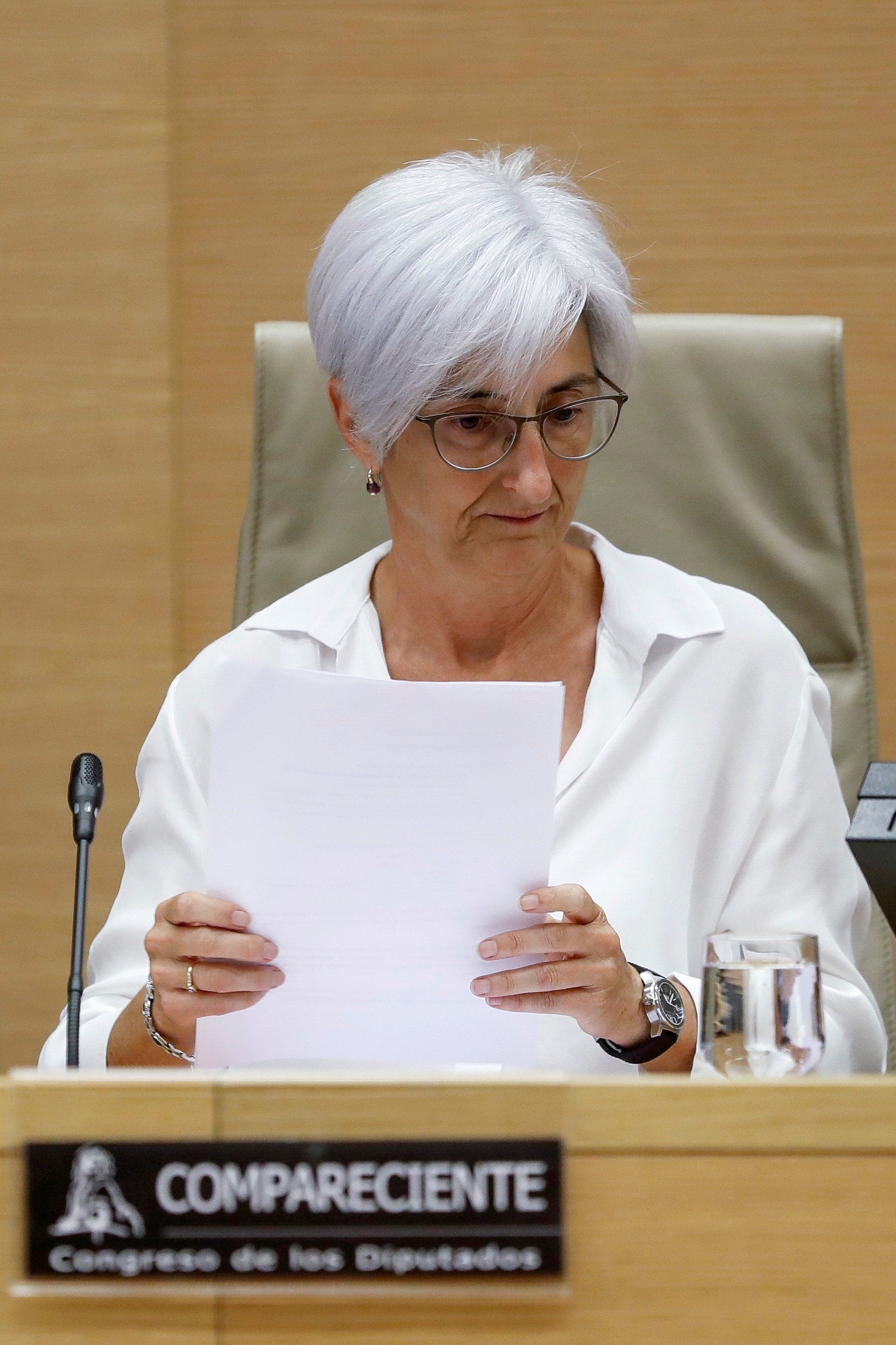 Fiscal general del Estado :"Se investiga la trascendencia penal de audios de Corinna" Fiscal general del Estado :"Se investiga la trascendencia penal de audios de Corinna"