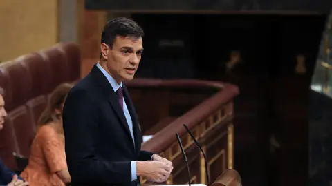 El presidente del Gobierno, Pedro Sánchez, durante su comparecencia en el Congreso El presidente del Gobierno, Pedro Sánchez, durante su comparecencia en el Congreso