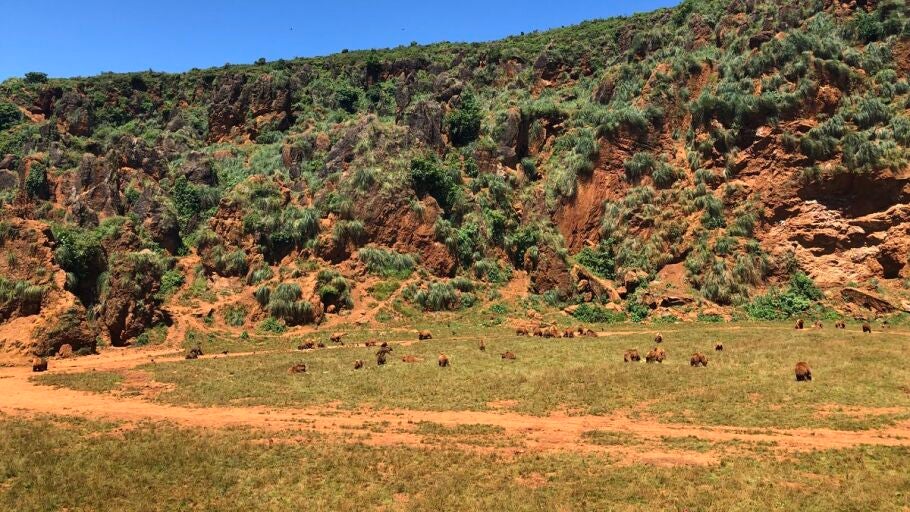 Parque de la Naturaleza de Cab&aacute;rceno