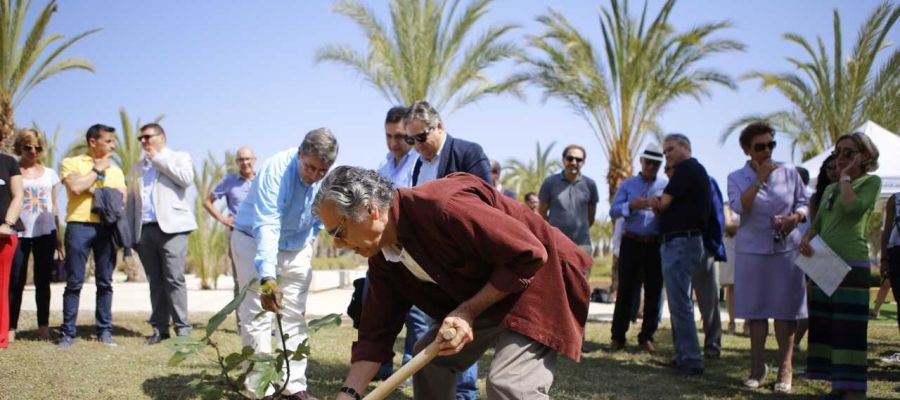 La UMH ha incuagurado este jueves un Jardín del Honoris en el campus de Elche La UMH ha incuagurado este jueves un Jardín del Honoris en el campus de Elche