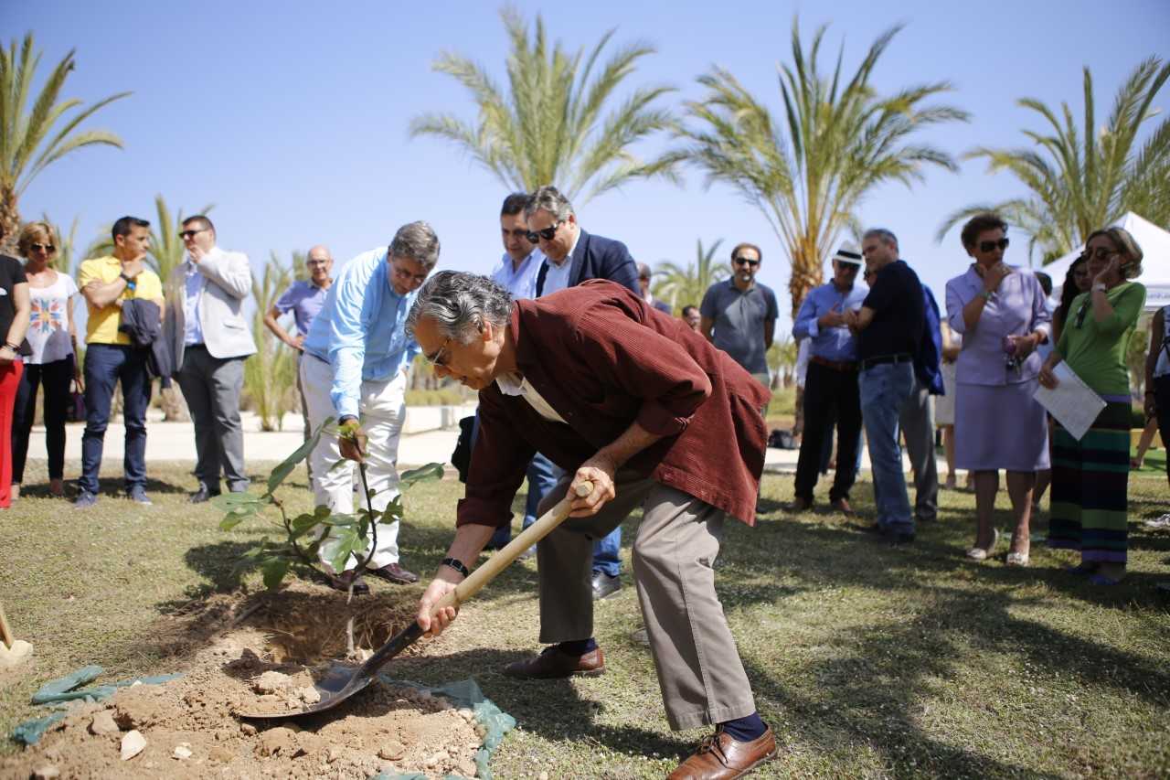 La UMH crea en el campus de Elche un Jardín de los Honoris La UMH crea en el campus de Elche un Jardín de los Honoris