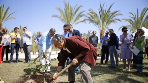 La UMH ha incuagurado este jueves un Jard&iacute;n del Honoris en el campus de Elche