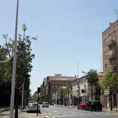 Avenida de Novelda de Elche. Avenida de Novelda de Elche.