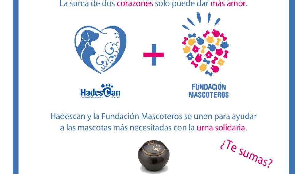 Urna solidaria de Hadescan y Fundación Mascoteros