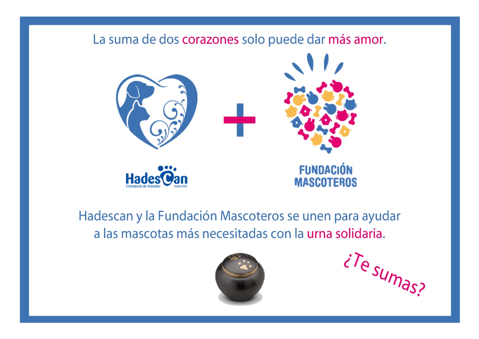 Una urna solidaria que salvará vidas tras la muerte de tu mascota fallecida Una urna solidaria que salvará vidas tras la muerte de tu mascota fallecida