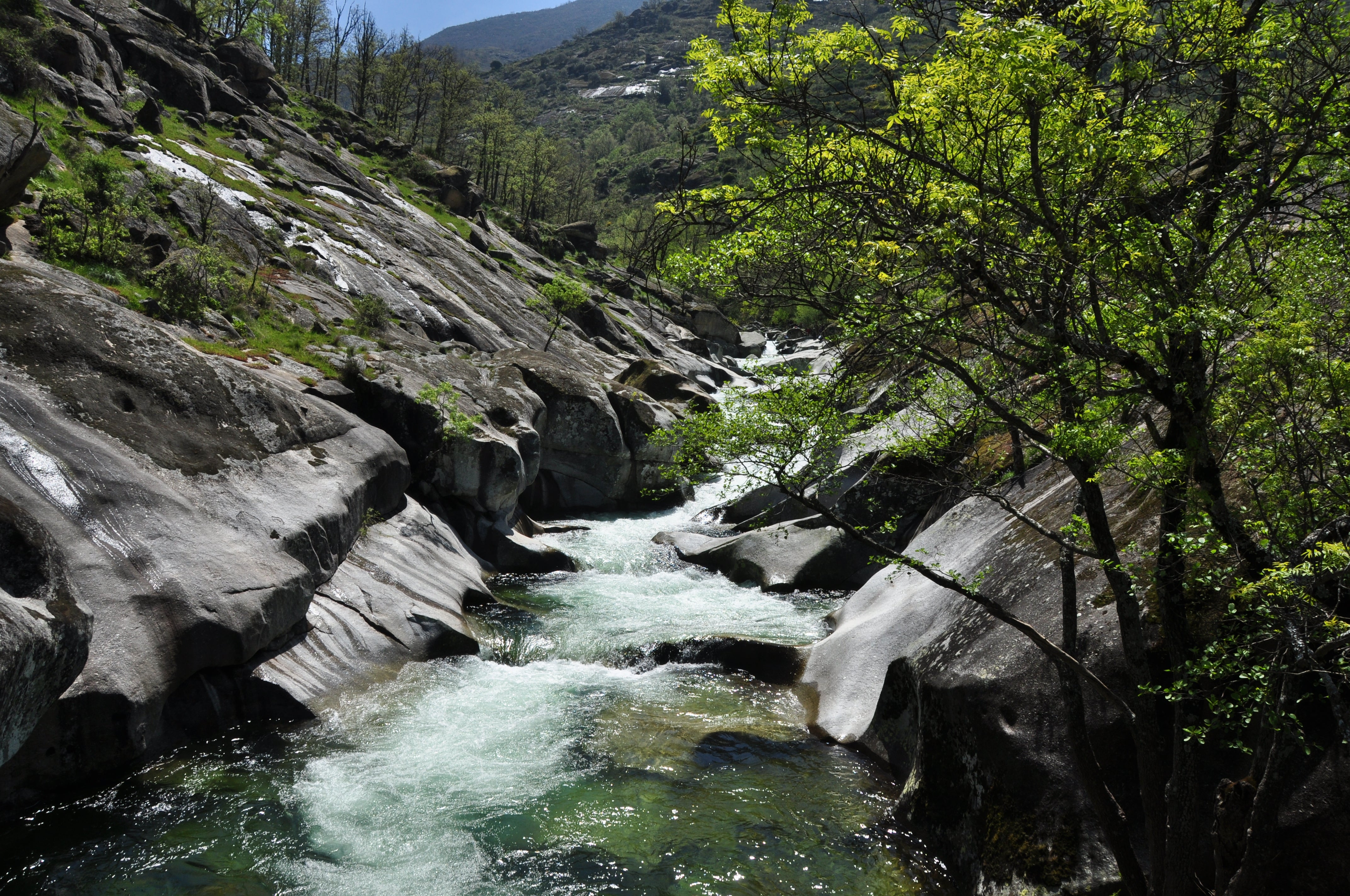 Rescatada en helicóptero una mujer tras sufrir un accidente en Garganta de los Infiernos Rescatada en helicóptero una mujer tras sufrir un accidente en Garganta de los Infiernos