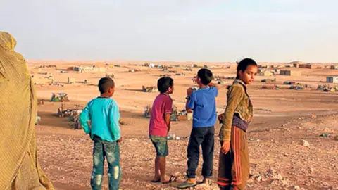 Niños Sáhara Adopción y niños de acogida