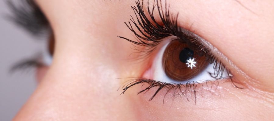 Un estudio identifica un factor clave en el desarrollo del ojo seco Un estudio identifica un factor clave en el desarrollo del ojo seco