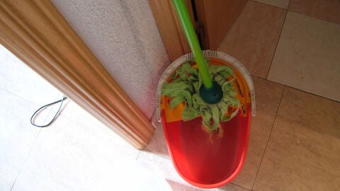 Una fregona