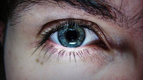 Ninguna investigaci&oacute;n ha arrojados resultados suficientes para afirmar que la luz azul da&ntilde;e los ojos