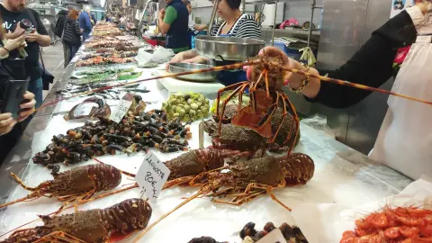 Buen producto en el Mercado de la Plaza Lugo Mercado de la Plaza
