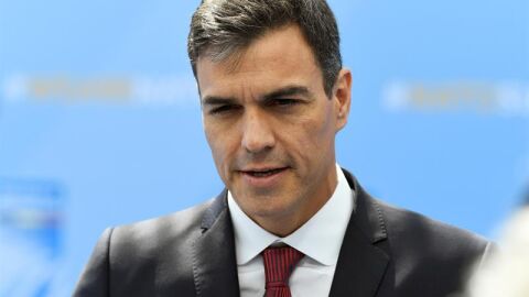Pedro S&aacute;nchez