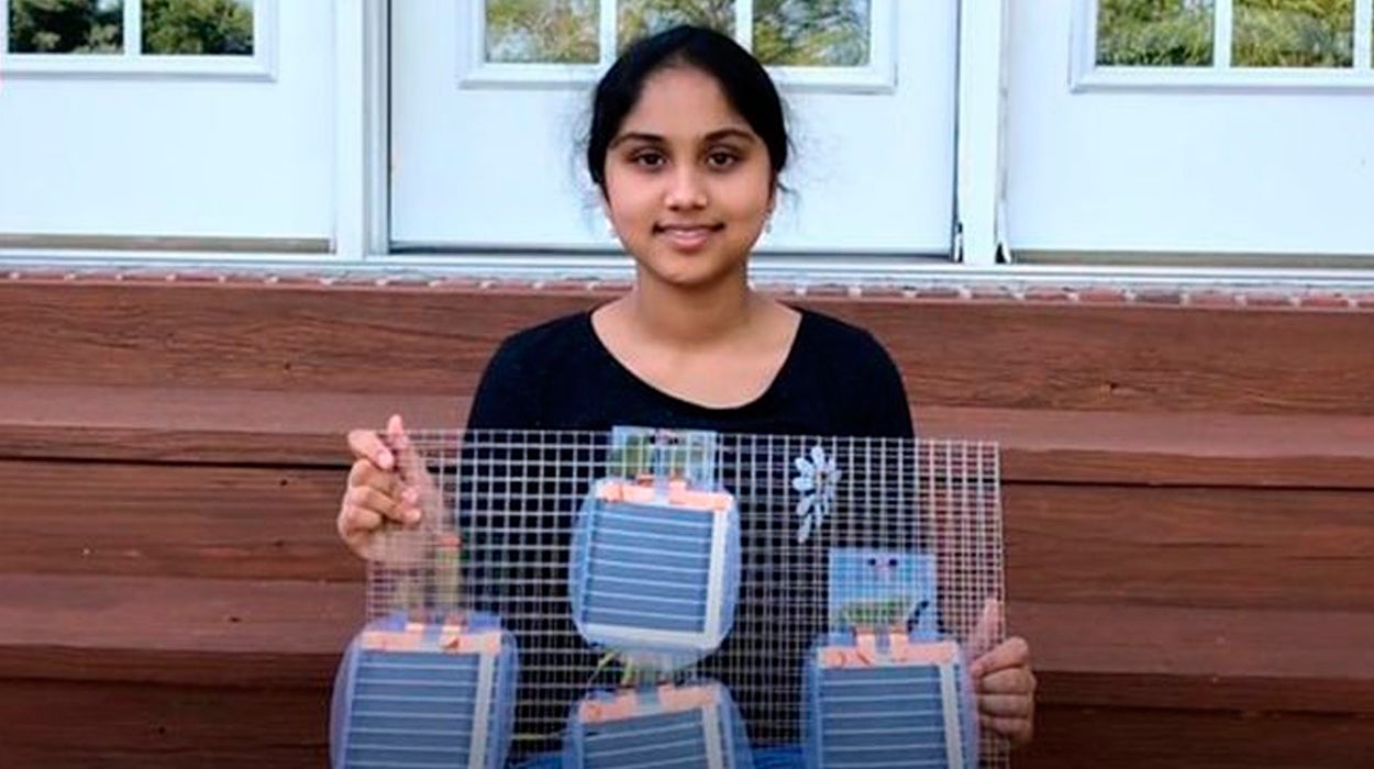 Una cientifica de 15 años descubre cómo llevar la electricidad a países en vía de desarrollo con cinco dólares Una cientifica de 15 años descubre cómo llevar la electricidad a países en vía de desarrollo con cinco dólares