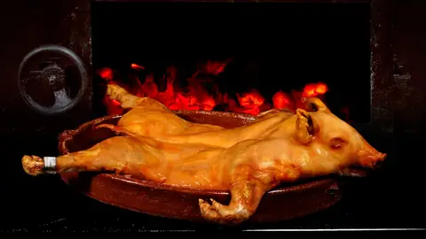 Cochinillo Cochinillo