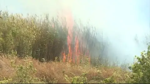 Aparatoso incendio de un cañaveral en La Laguna, Tenerife Aparatoso incendio de un cañaveral en La Laguna, Tenerife