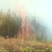 Aparatoso incendio de un cañaveral en La Laguna, Tenerife