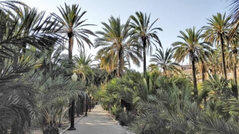 Parque en Elche
