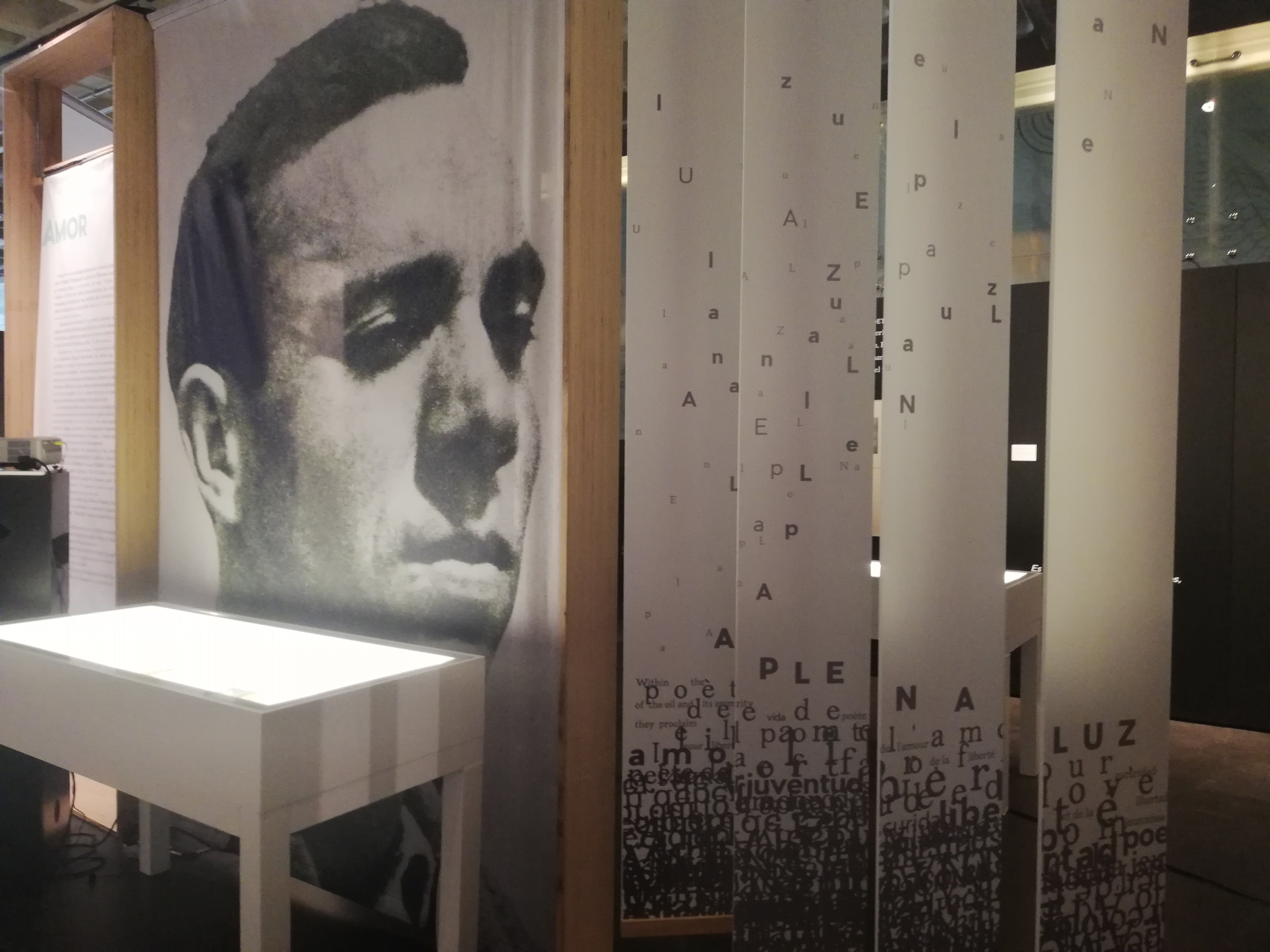 ‘Miguel Hernández, a plena luz’ alumbra el Museo Arqueológico y de Historia de Elche ‘Miguel Hernández, a plena luz’ alumbra el Museo Arqueológico y de Historia de Elche