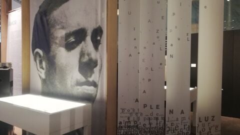 Exposici&oacute;n 'Miguel Hern&aacute;ndez, a plena luz'