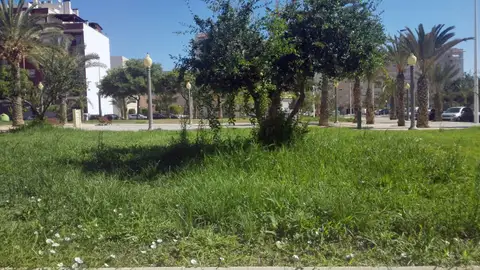Jardin de los Derechos Humanos Falta de mantenimiento