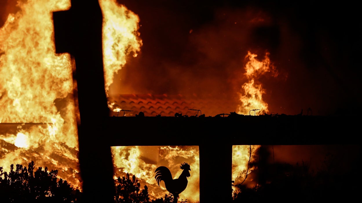 Grecia reconoce que hay "serias indicaciones" que apuntan a que los incendios cerca de Atenas fueron provocados Grecia reconoce que hay "serias indicaciones" que apuntan a que los incendios cerca de Atenas fueron provocados
