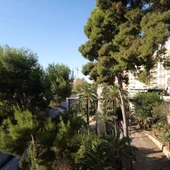 Elche. Elche.