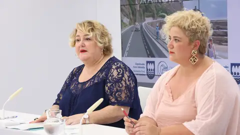 Infraestructuras viarias / Peajes Infraestructuras viarias / Peajes