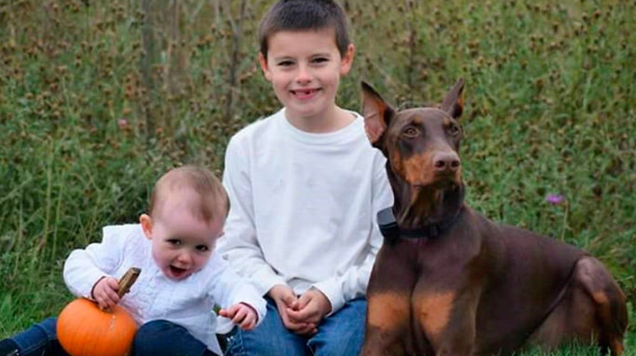 La conmovedora historia de un niño que ha vendido sus juguetes para ayudar a su perro Copper La conmovedora historia de un niño que ha vendido sus juguetes para ayudar a su perro Copper