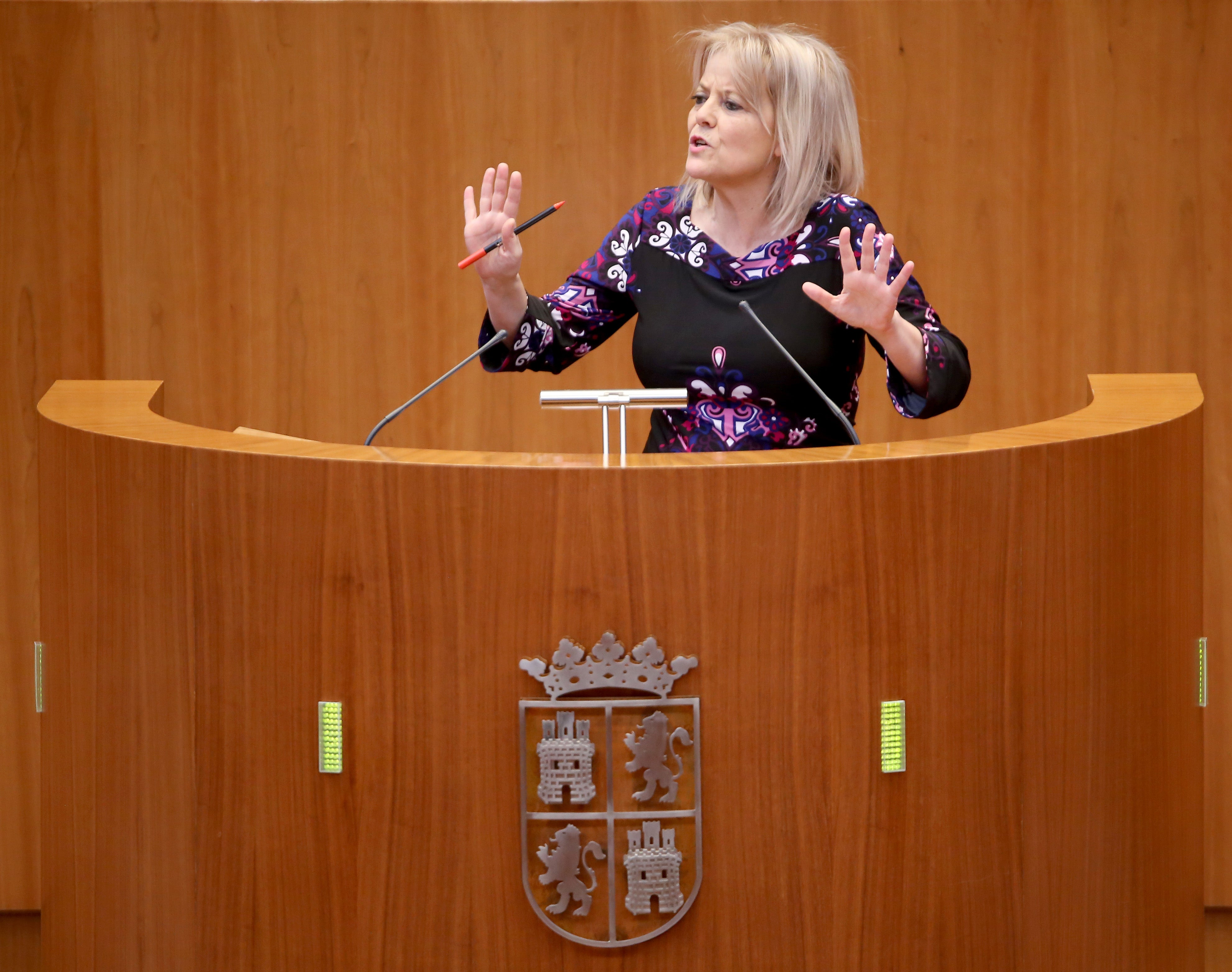 El PSOE exige a la Junta que convoque la comisión contra la Violencia de Género El PSOE exige a la Junta que convoque la comisión contra la Violencia de Género