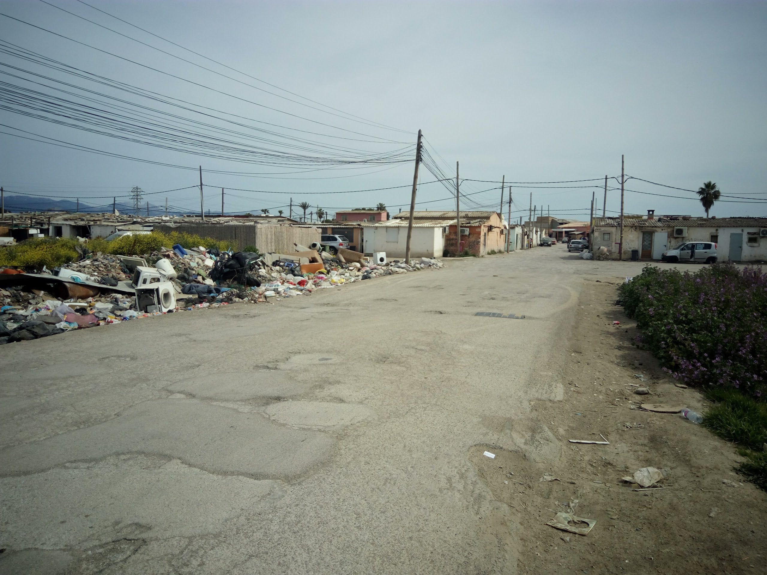 Aparece un esqueleto humano en las inmediaciones del poblado chabolista de Son Banya de Palma Aparece un esqueleto humano en las inmediaciones del poblado chabolista de Son Banya de Palma