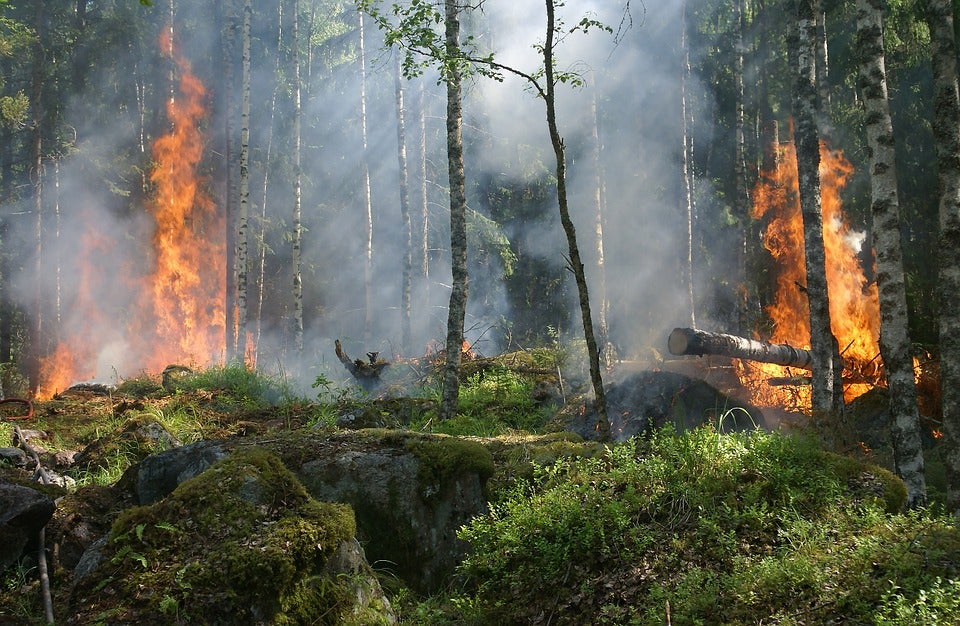 Parres acoge las I Jornadas sobre Prevención de Incendios estos días 5 y 6 de Noviembre Parres acoge las I Jornadas sobre Prevención de Incendios estos días 5 y 6 de Noviembre