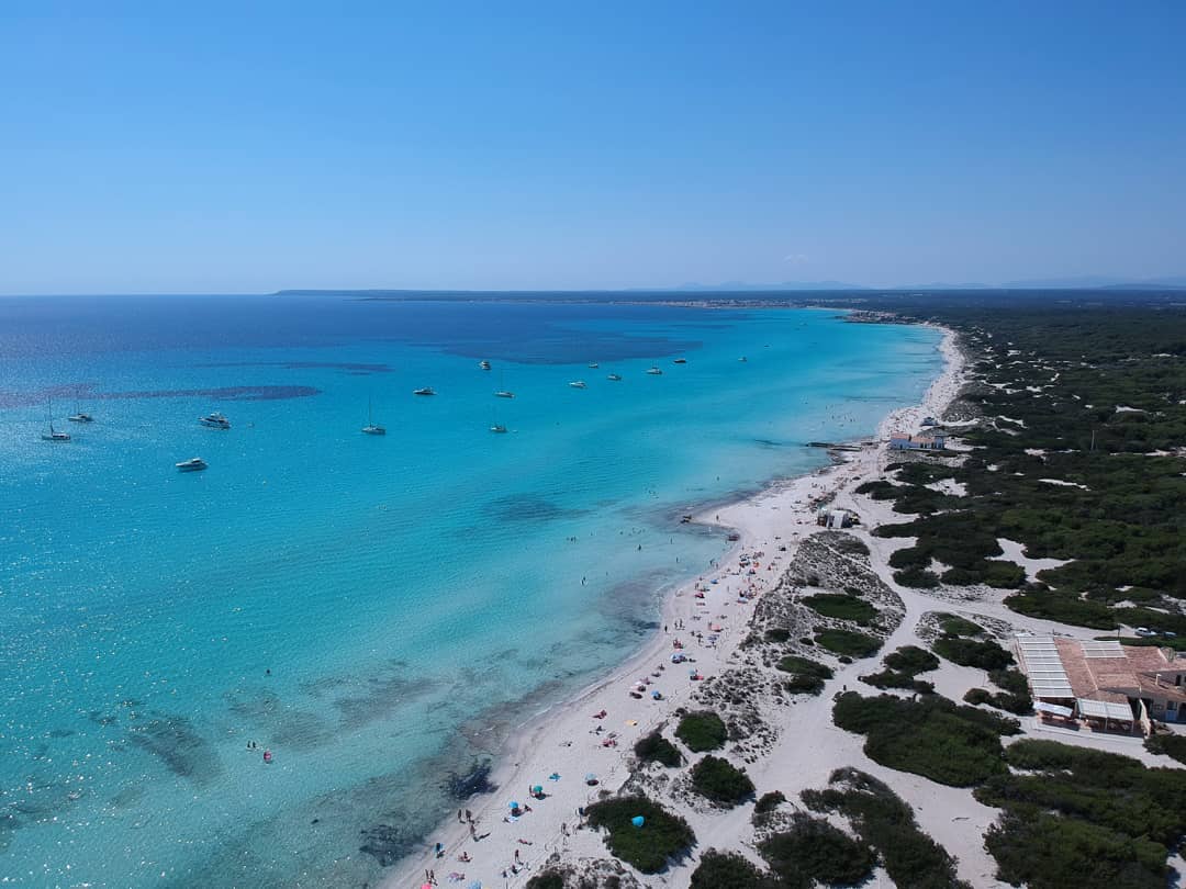 Campos aún no sabe cómo controlar la playa de Es Trenc, ni si habrá chiringuitos Campos aún no sabe cómo controlar la playa de Es Trenc, ni si habrá chiringuitos