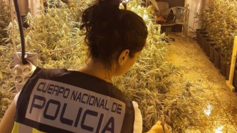 Operaci&oacute;n Policial