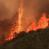 Evacuadas más de diez personas por los incendios en California Evacuadas más de diez personas por los incendios en California