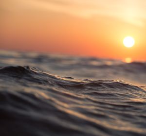 Una mínima parte de los océanos del mundo se clasifica como salvaje Una mínima parte de los océanos del mundo se clasifica como salvaje