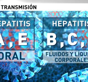 NUEVAHEPATITIS NUEVAHEPATITIS