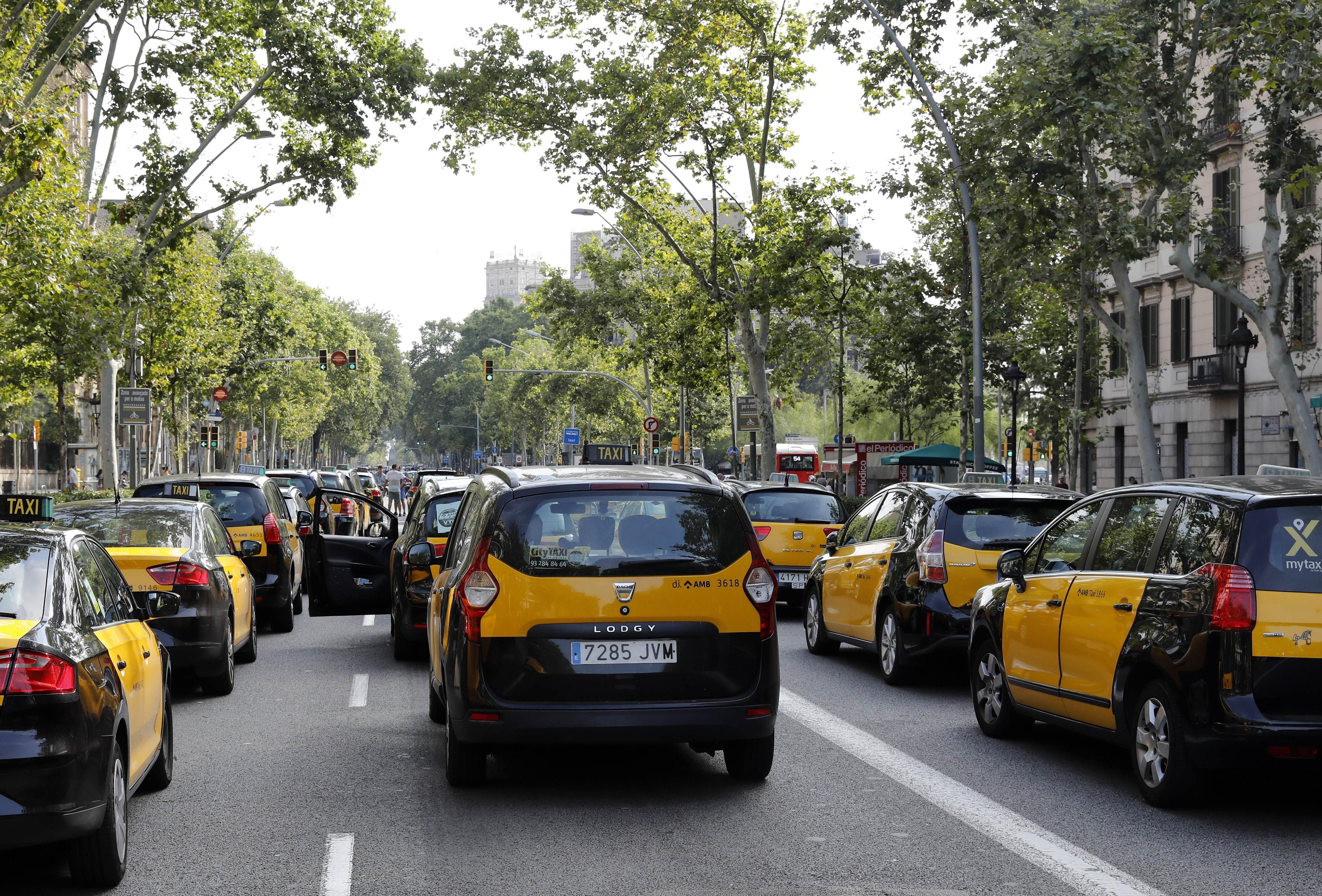 Los taxistas pedirán cambios normativos y el traspaso de competencias a CCAA Los taxistas pedirán cambios normativos y el traspaso de competencias a CCAA