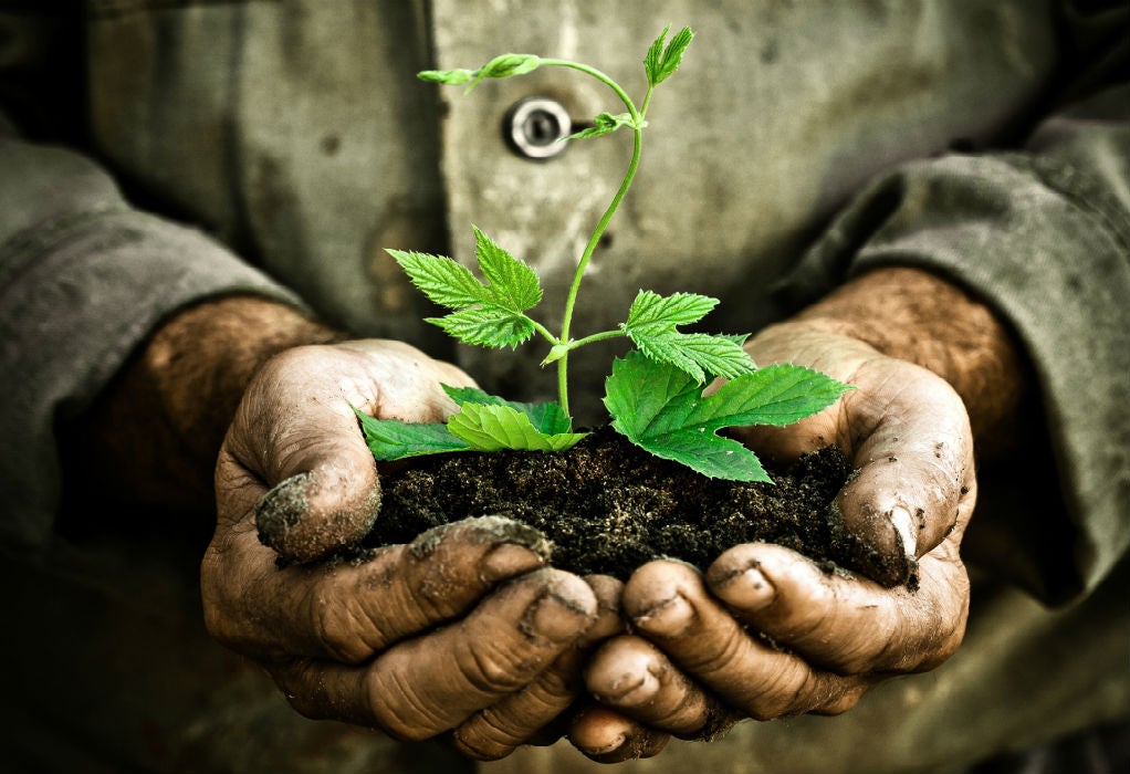 La humanidad agota este miércoles los recursos de La Tierra para 2018 La humanidad agota este miércoles los recursos de La Tierra para 2018