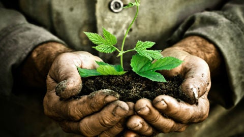 Recursos naturales de la tierra